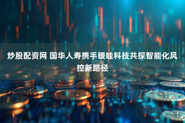 炒股配资网 国华人寿携手暖哇科技共探智能化风控新路径